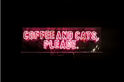 猫カフェの収益アップ術7選【2026年最新】経営者が実践すべき具体策